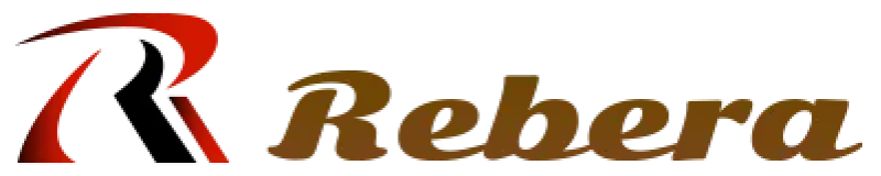 株式会社Rebera