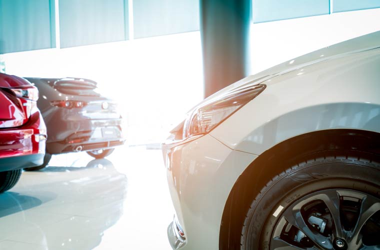 多彩なラインアップ